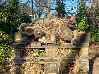 Bug Hotel