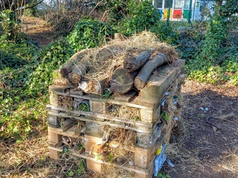 Bug Hotel