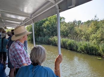 People on a boat looking across to a bank of vegetation