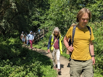 People walking up a path with hedgerow on either side