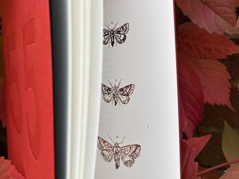 A red book against autumn coloured leaves