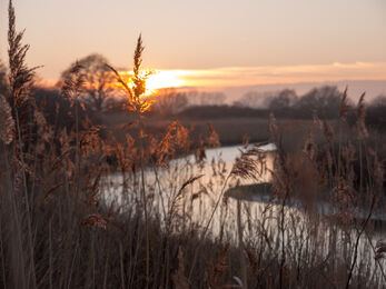 Suffolk river at sunset