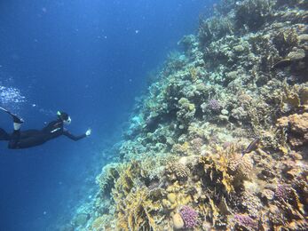 Meet Gemma - Campaigning & Activism Manager 