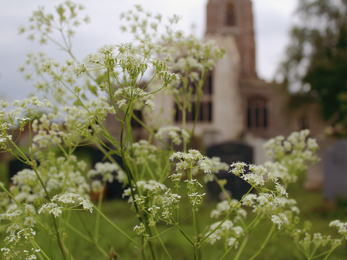 Stoke by Nayland Church