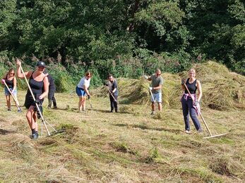 Wild Work Day at Newbourne