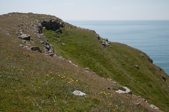 Lowland limestone grassland