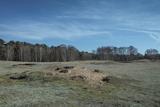 Wangford Warren Suffolk Wildlife Trust