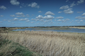 Trimley Marshes Suffolk Wildlife Trust