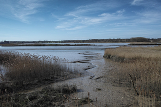 Snape marshes Suffolk Wildlife Trust