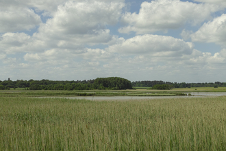 Snape marshes Suffolk Wildlife Trust