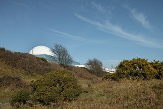 Sizewell Belts nature reserve Suffolk Wildlife Trust