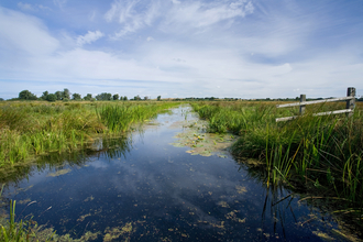 Castle Marshes Suffolk Wildlife Trust