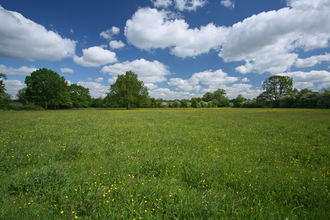 Mickfield meadow nature reserve Suffolk Wildlife Trust