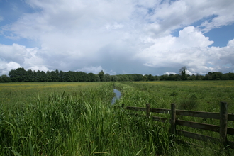 Norah hanbury kelk nature reserve Suffolk Wildlife Trust