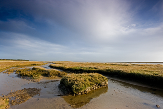 Simpson's Saltings Suffolk Wildlife Trust