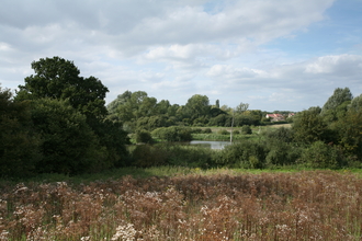 Cornard Mere nature reserve Suffolk Wildlife Trust