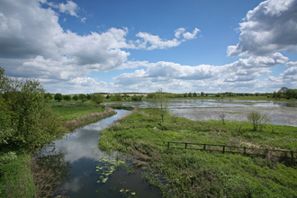 Mickle Mere nature reserve Suffolk Wildlife Trust