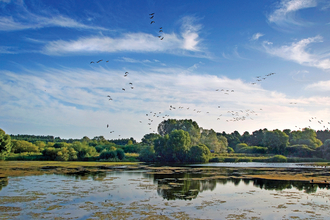 Lackford Lakes Suffolk Wildlife Trust