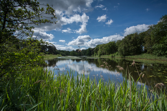 Suffolk Wildlife Trust