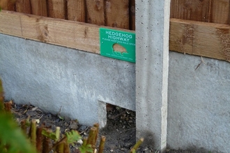 Hedgehog highway