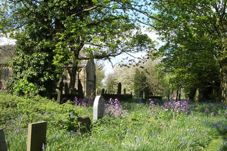 Suffolk Wildlife Trust