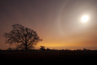 Suffolk Wildlife Trust