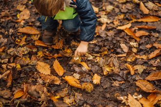 Suffolk Wildlife Trust