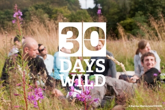 30 Days Wild