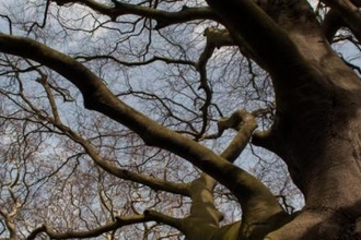Suffolk Wildlife Trust