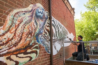 ATM cuttlefish by James Sheehy