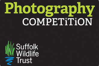 Suffolk Wildlife Trust