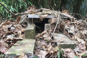 Brick hedgehog house1