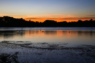 Suffolk Wildlife Trust