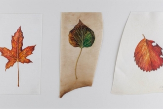 Autumn leaves on vellum by Ruth Wharrier