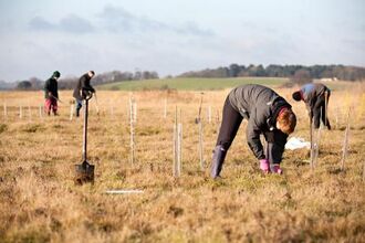 Tree planting, Networking Nature
