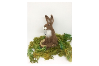 Suffolk Wildlife Trust