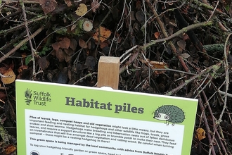 Habitat pile hedgehog sign