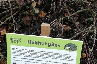 Habitat pile hedgehog sign