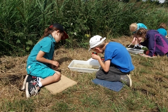 Suffolk Wildlife Trust