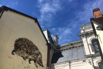 ATM hedgehog mural
