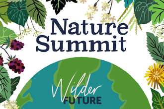 Nature Summit poster by Brie Harrison