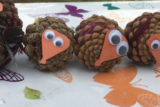 Hedgehog pinecones
