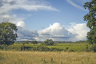 Suffolk Wildlife Trust