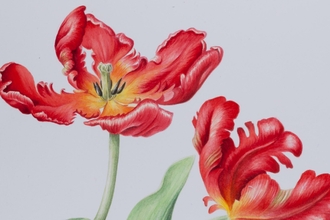 Observational Art