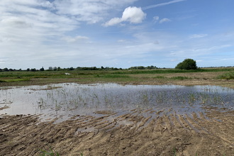 Suffolk Wildlife Trust