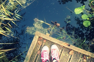 Suffolk Wildlife Trust