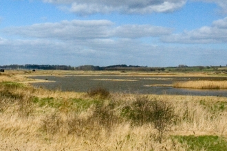 Trimley