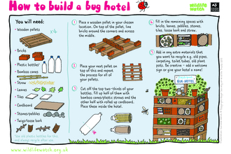 How to build a bug hotel illustration