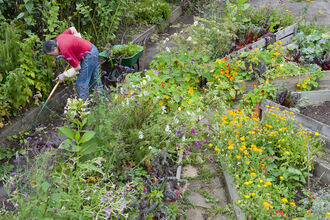 Community gardening - Paul Harris/2020vision