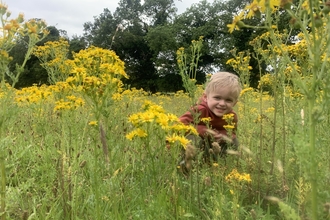 boy in ragwort